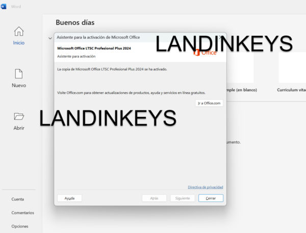Office Profesional Plus LTSC 2024 - Licencia Permanente para 1 PC - Imagen 2